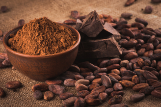 Braziliaanse multinationale leider in cacao optimaliseert productielijn met de russell compact sieve®