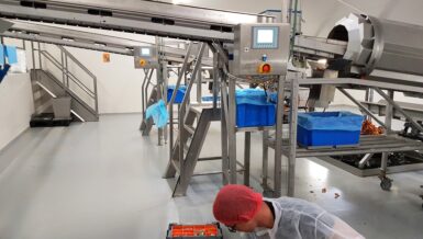 Nauwkeurige zoutdosering in chipsproductie: constante smaak door stabiele bulkhandling